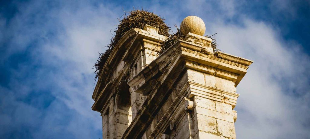 Qué ver en Alcalá de Henares